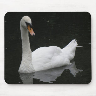 Schöne Weiße Schwan Mousepad