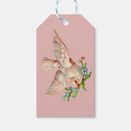 schöne weiße Taube mit Sprig im Mund Geschenkanhänger (Vorderseite)