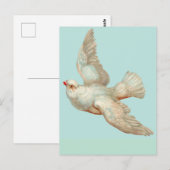 schöne weiße Taube Postkarte (Vorne/Hinten)