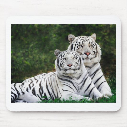 Schöne weiße Tiger Mousepad (Vorne)