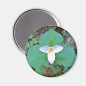 Schöne weiße Trillium-Blume im Wald Magnet (Vorderseite/Rückseite)