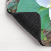 Schöne weiße Trillium-Blume im Wald Mousepad (Ecke)