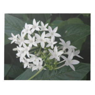 Schöne weiße tropische Blume Notepad Notizblock
