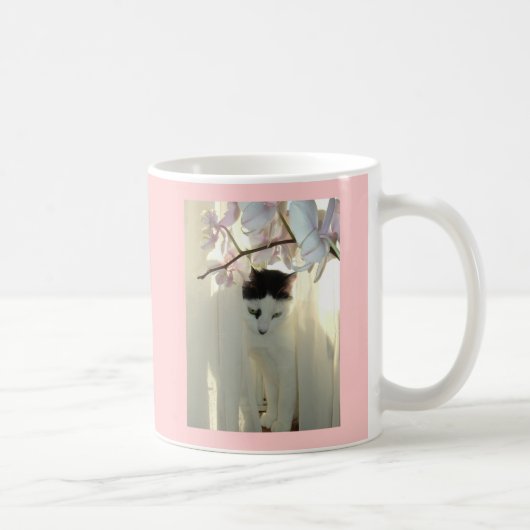 Schöne weiße und schwarze Katze Kaffeetasse (Rechts)
