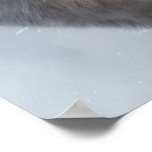 Schöne Weiße Wolf Kunst Poster (Ecke)