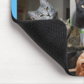 Schöne Welt der Katzen und Kätzchen Mousepad (Ecke)