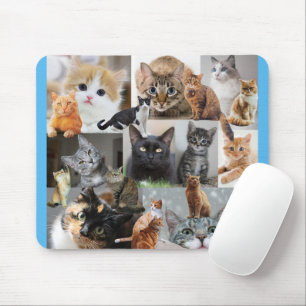 Schöne Welt der Katzen und Kätzchen Mousepad