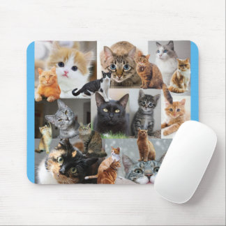 Schöne Welt der Katzen und Kätzchen Mousepad