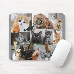 Schöne Welt der Katzen und Kätzchen Mousepad