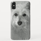Schöne Westie Dog iPhone Case (Rückseite)
