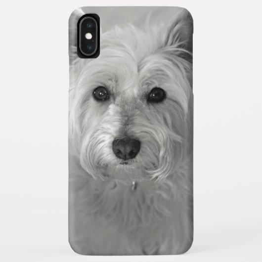 Schöne Westie Dog iPhone Case (Rückseite)