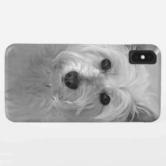 Schöne Westie Dog iPhone Case (Rückseite (Horizontal))