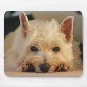 Schöne Westie Hundemausunterlage/Mäusematte Mousepad