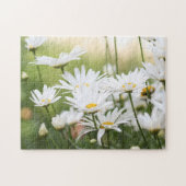 Schöne White Daisies | Blume auf dem grünen Feld Puzzle (Horizontal)