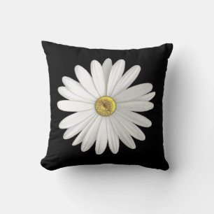 Schöne White Daisy-Blume auf dem schwarzen Kissen