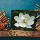Schöne White Magnolia Blume Fotoplatte (Seite)