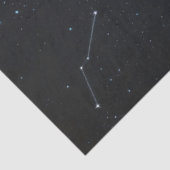 Schöne White Peacock Aurora Borealis Decoupage Seidenpapier (Ausschnitt)