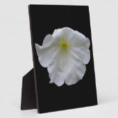Schöne White Petunia Plaque Fotoplatte (Seite)