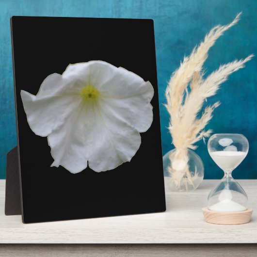 Schöne White Petunia Plaque Fotoplatte (Seite)