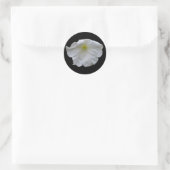Schöne White Petunia Sticker (Tasche)