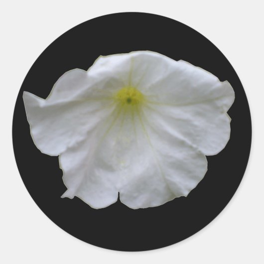 Schöne White Petunia Sticker (Vorderseite)