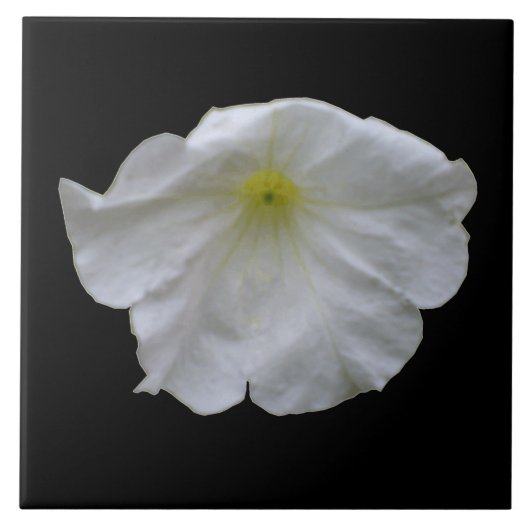 Schöne White Petunia Tile Fliese (Vorderseite)
