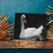 Schöne White Swan Plaque Fotoplatte (Seite)