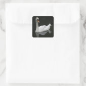 Schöne White Swan Stickers (Tasche)