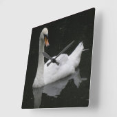 Schöne White Swan Uhr (Winkel)