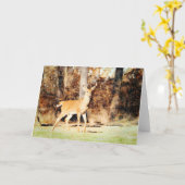 Schöne Whitetail Deer Buck Wasserfarbenleere Karte (Gelbe Blume)