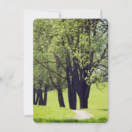 Schöne Wiese (Vorderseite)