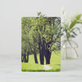 Schöne Wiese (Stehend Vorderseite)