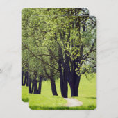 Schöne Wiese (Vorne/Hinten)