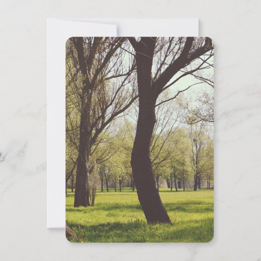 Schöne Wiese (Rückseite)