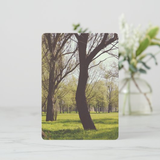 Schöne Wiese (Stehend Vorderseite)