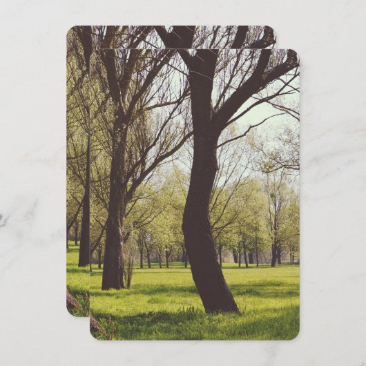 Schöne Wiese (Vorne/Hinten)