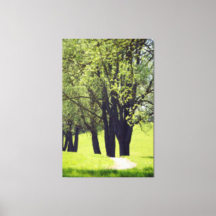 Schöne Wiese Leinwanddruck