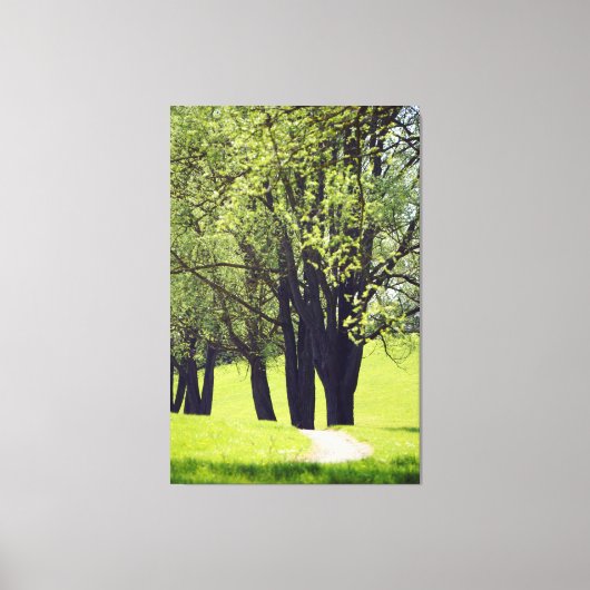 Schöne Wiese Leinwanddruck (Vorderseite)