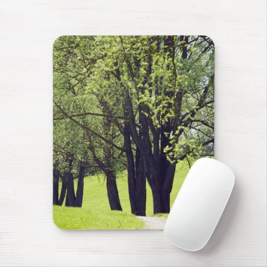 Schöne Wiese Mousepad (Mit Mouse)
