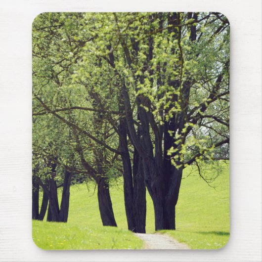 Schöne Wiese Mousepad (Vorne)