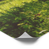 Schöne Wiese Poster (Ecke)
