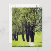 Schöne Wiese Postkarte (Vorne/Hinten)