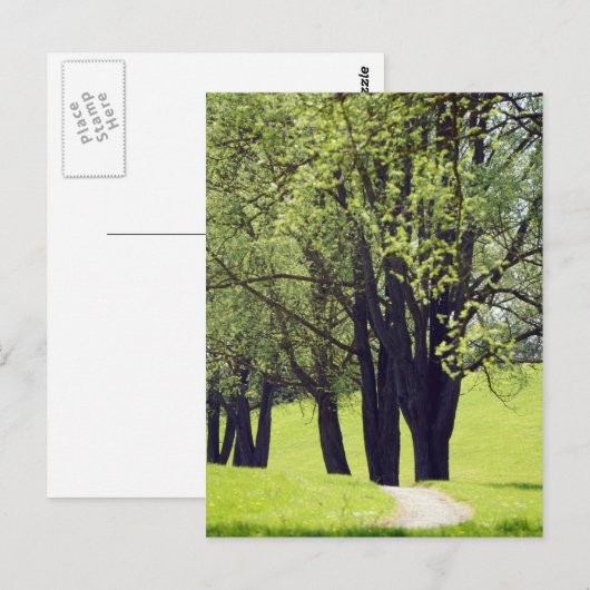 Schöne Wiese Postkarte (Vorne/Hinten)