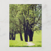 Schöne Wiese Postkarte (Vorderseite)