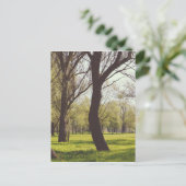 Schöne Wiese Postkarte (Stehend Vorderseite)