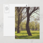 Schöne Wiese Postkarte (Vorne/Hinten)
