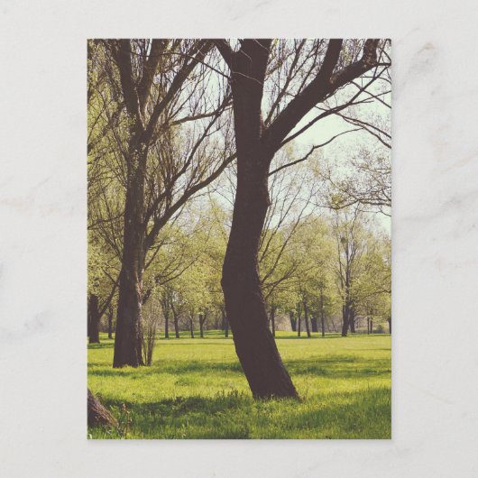 Schöne Wiese Postkarte (Vorderseite)