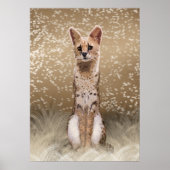 Schöne Wildafrikanerkatze Poster (Vorne)