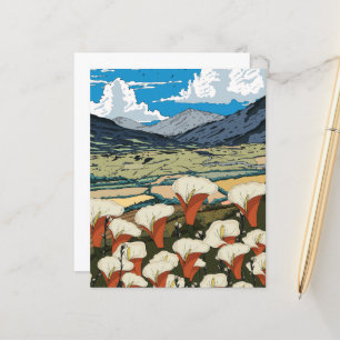 Schöne Wildblume Wiesen Landschaft