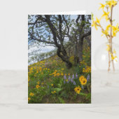 Schöne Wildblumen auf dem Foto Hill Karte (Gelbe Blume)